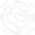 texas_white.png